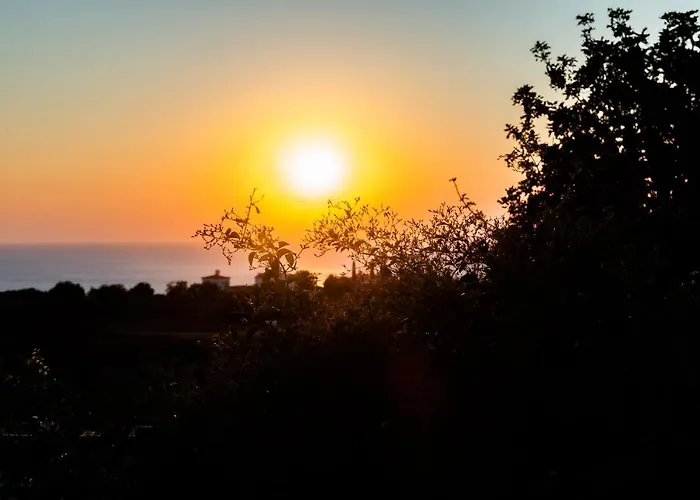 Adonis * Mercan Koyu